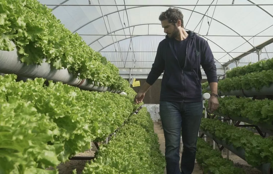 Hydro Farms تحصد تمويلا جديدا لتوسيع أعمالها