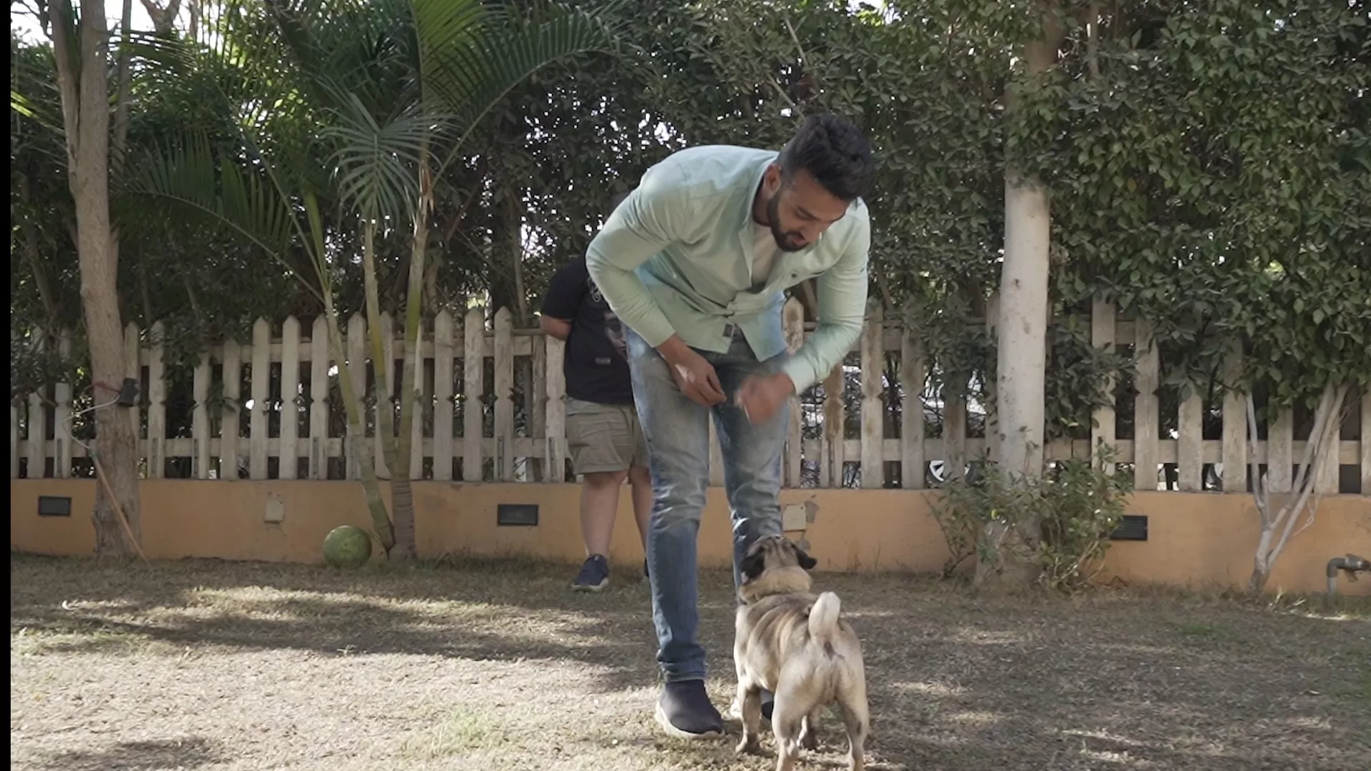 فيتكود.. عيادة بيطرية وخاطبة للحيوانات الأليفة