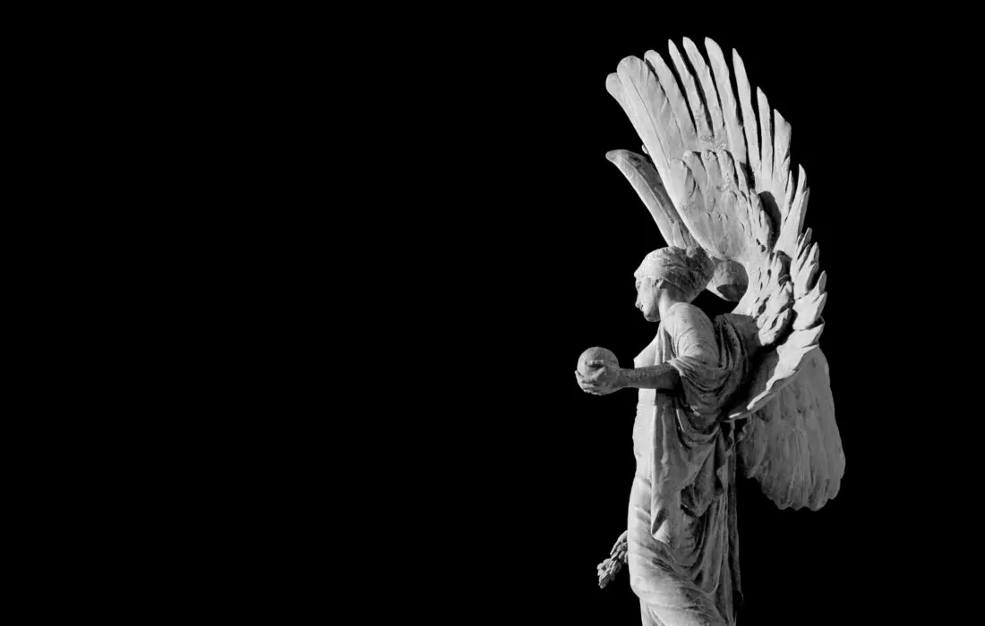 ملائكيون.. وليس مغفلون