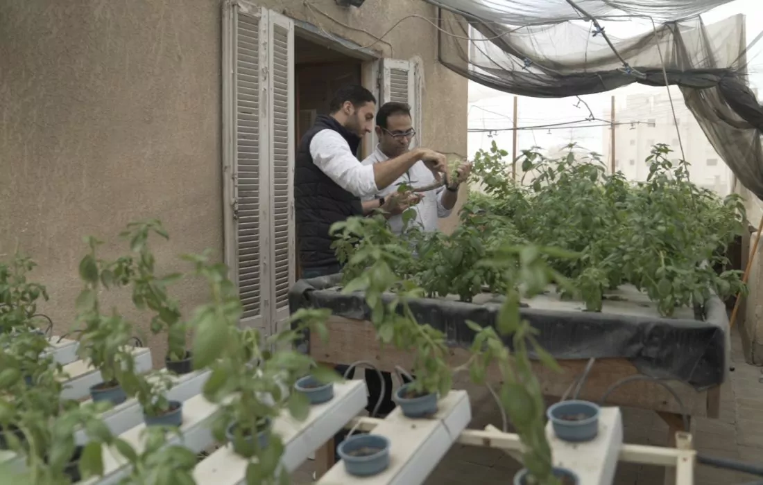 Urban Greens.. تطوير المساحات الخضراء في المدن