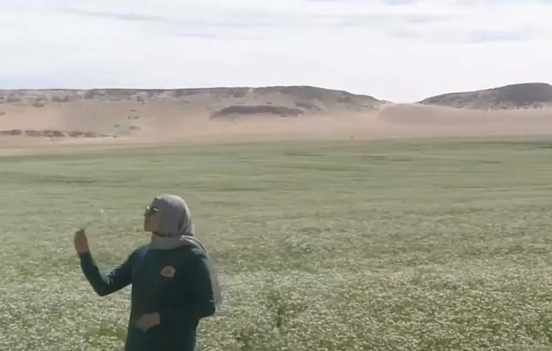 ظل أخضر| “رويال للأعشاب”.. التنمية المستدامة من أجل مستقبل أفضل