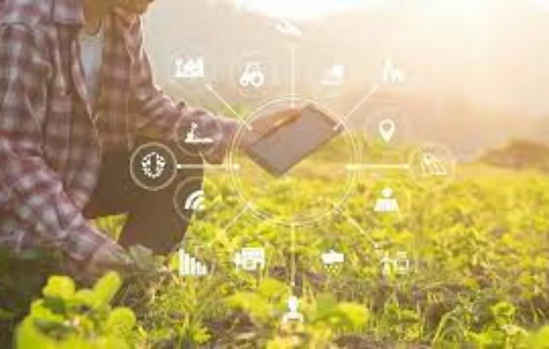 إطلاق “أجري مصر”..أول منصة إلكترونية للقطاع الزراعى