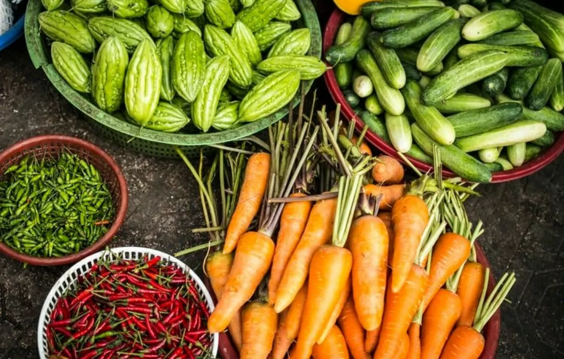 Red Sea Farms السعودية تحصد ١٦ مليون دولار في جولة التمويل ما قبل الأولى