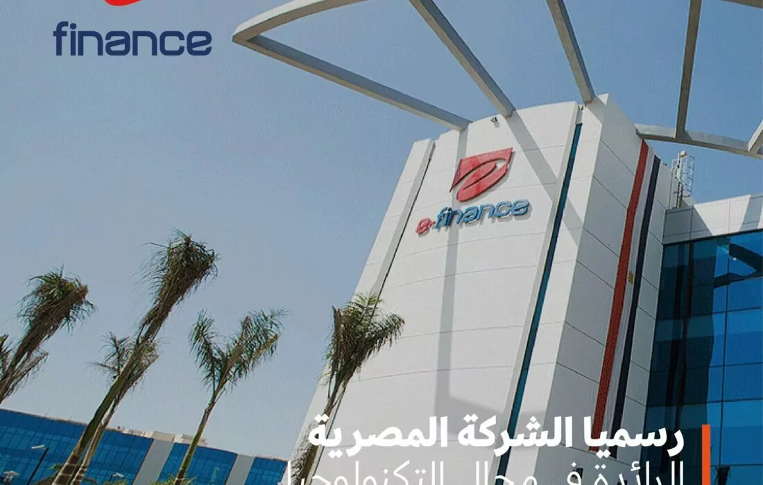 كل ما تحتاج معرفته عن: e-Finance