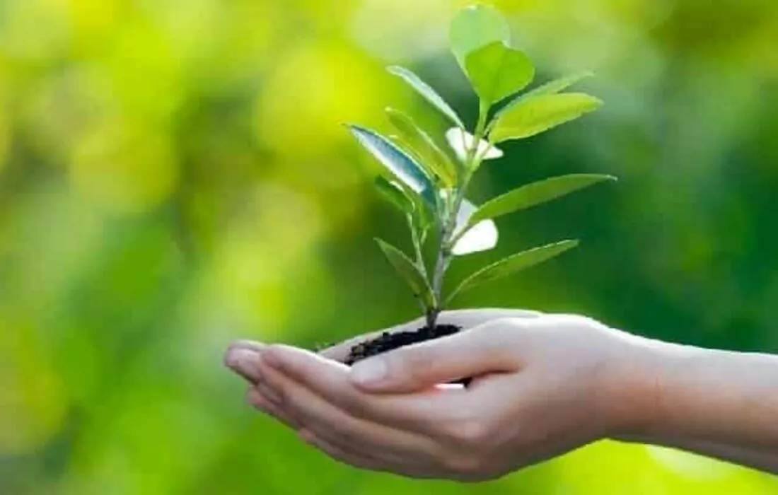 سويحان الإماراتية تطرح سندات خضراء بقيمة ٧٠٠ مليون دولار