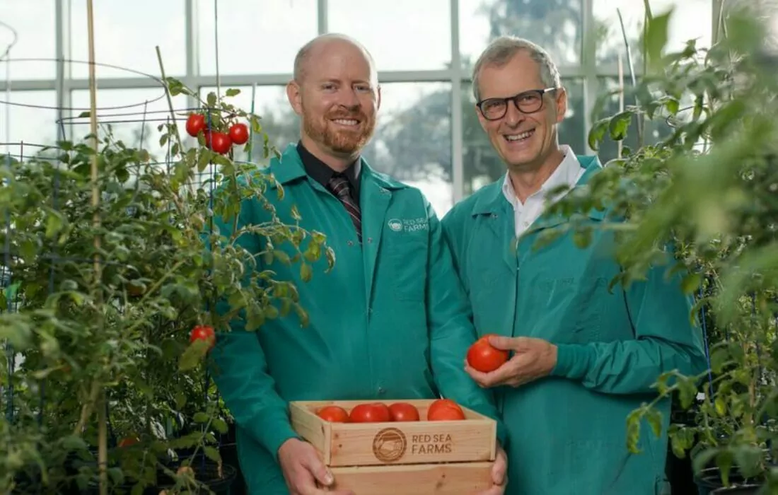 Red Sea Farms لتكنولوجيا الزراعة تحصد تمويلا بقيمة ١٨,٥ مليون دولار