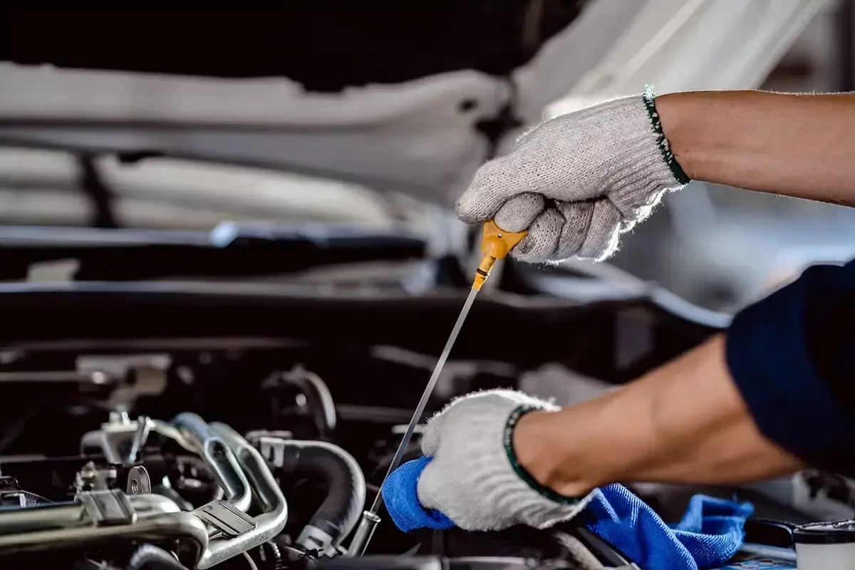 “تطبيق أخطبوط” السعودي يُغلق جولة تمويلية قيمتها 267 ألف دولار