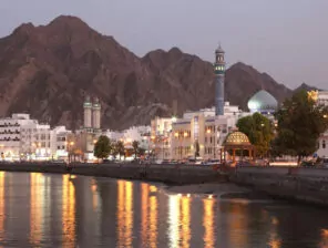 قانون الاستثمار الأجنبي في عُمان.. رؤية لتنويع الاقتصاد وتعزيز جاذبية بيئة الأعمال