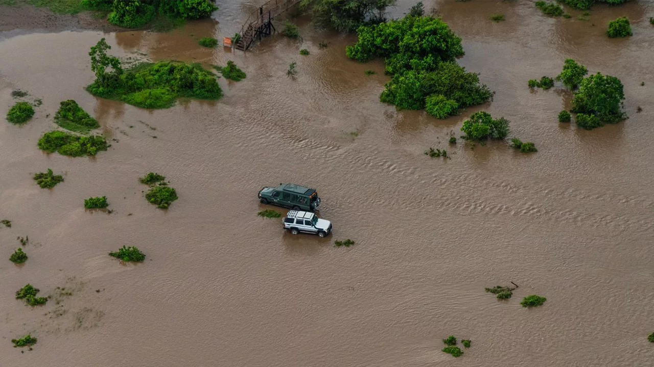 Purple Elephant Ventures الكينية تحصد تمويل بقيمة 4.5 مليون دولار