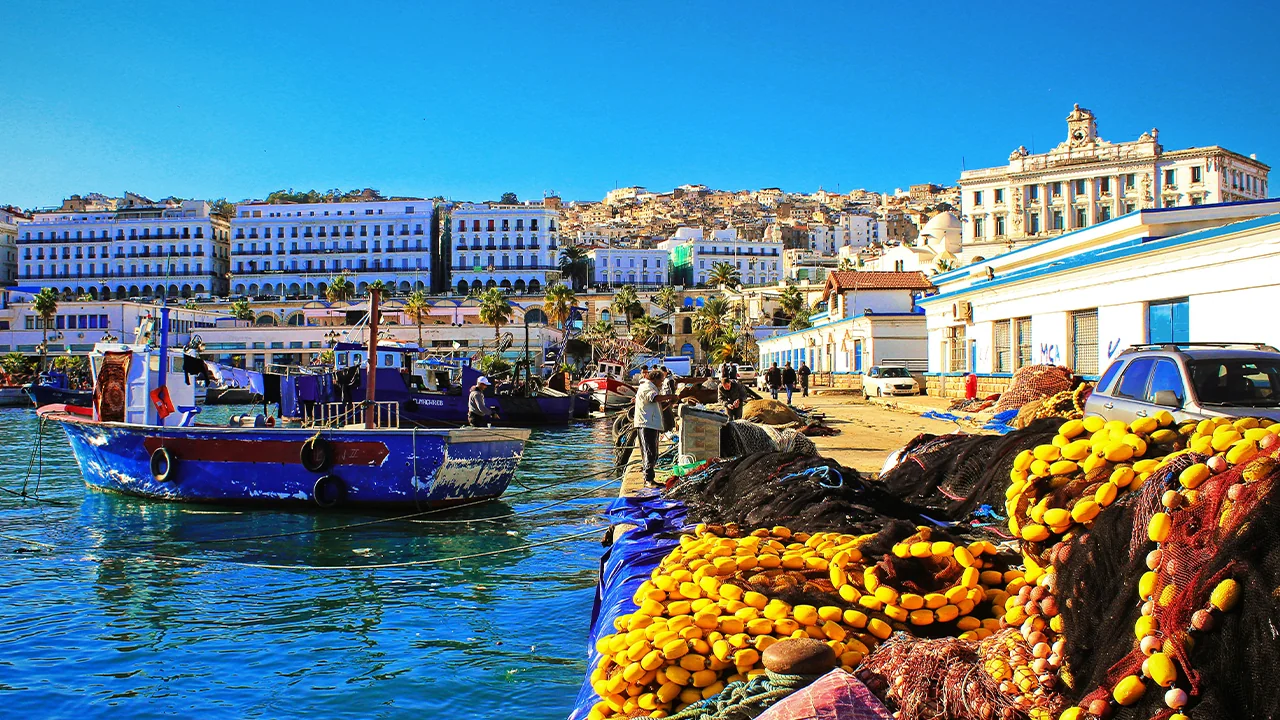 الجزائر تتحرك نحو 20 ألف شركة ناشئة.. صناديق تمويل جديدة في الطريق!