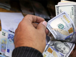 تحويلات المصريين بالخارج تقفز بنسبة 47.2% خلال 8 شهور فقط