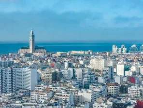 بقيمة 269 مليون دولار.. المغرب يطلق آلية تحفيزية لدعم صناديق الاستثمار في الشركات الناشئة