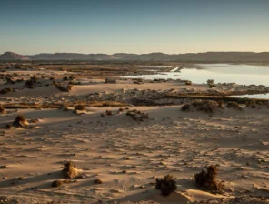 مجلس الوزراء المصري يوافق على تخصيص أراضٍ جديدة للبيع بالدولار في 16 مدينة جديدة