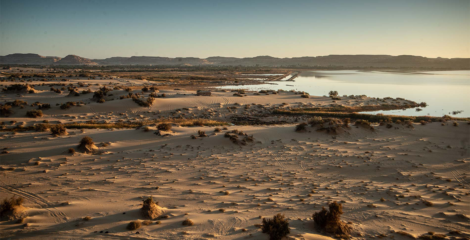 مجلس الوزراء المصري يوافق على تخصيص أراضٍ جديدة للبيع بالدولار في 16 مدينة جديدة