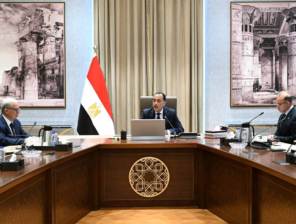 مصر تستعد لطرح شركات جديدة ضمن برنامج الطروحات الحكومية في البورصة 