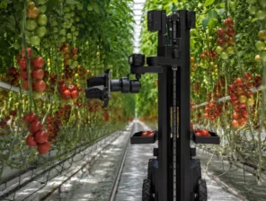 صناعة مصرية خالصة.. Egrobots تطلق أول روبوت ذاتي للحصاد الزراعي 