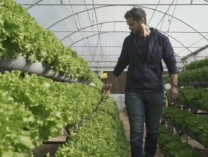 Hydroponic Farming: An Ancient Solution to a New Problem