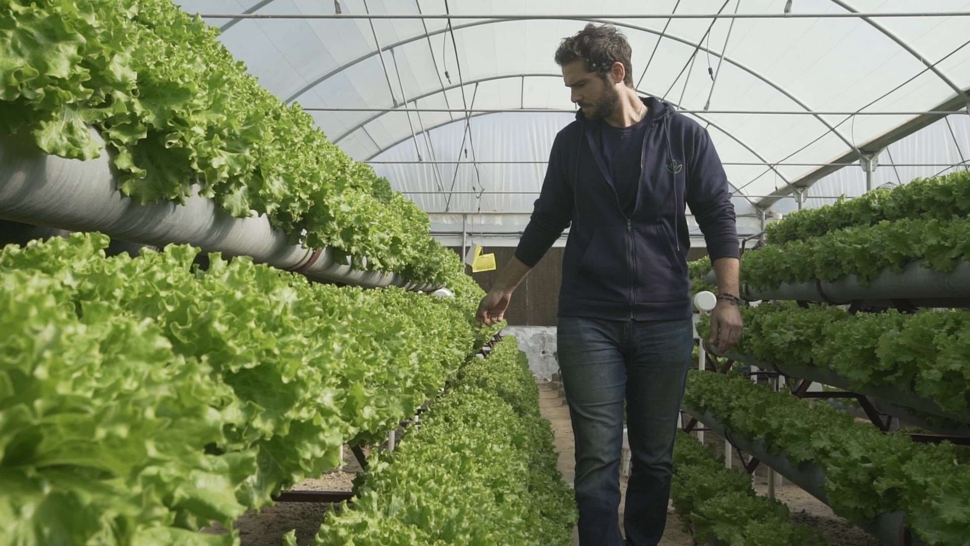 Hydroponic Farming: An Ancient Solution to a New Problem