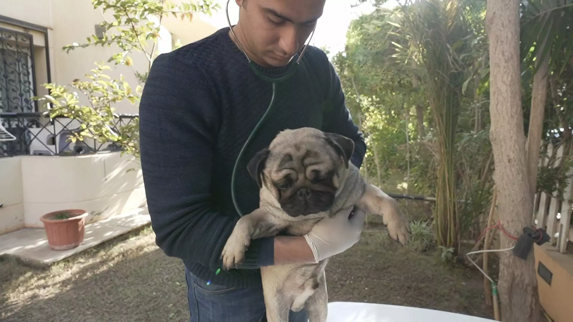 “There’s An App For That?” –  Pet Health and Matchmaking