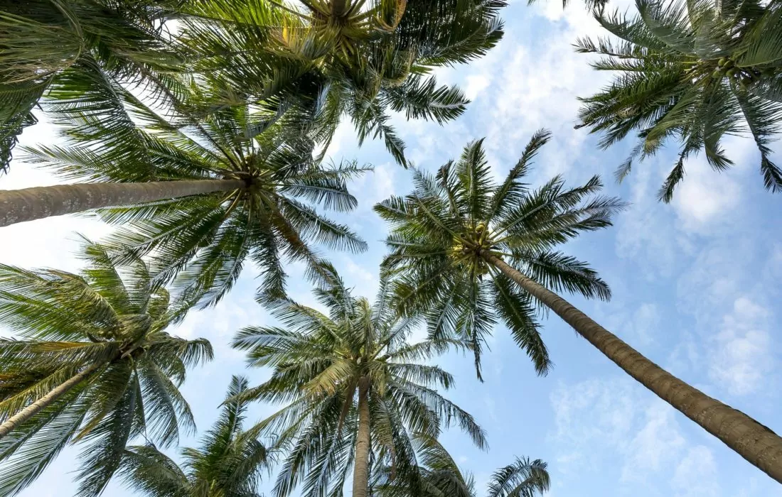 Monsha’at launches AlTomor Accelerator