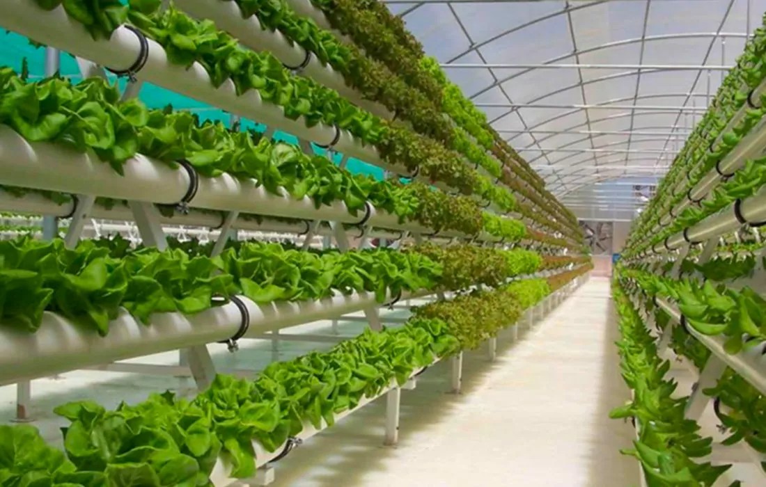 Abu Dhabi Investment Office Injects $1 Million in Agritech Industry