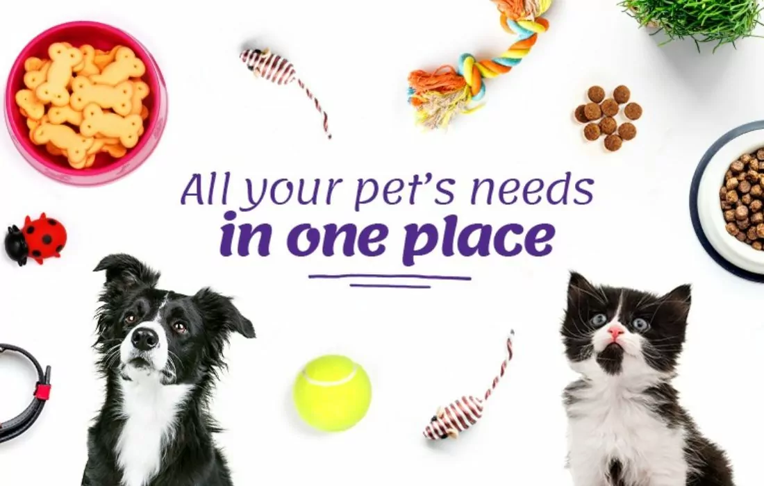 Pawsket App: One-Stop-Shop for Pet Care Products