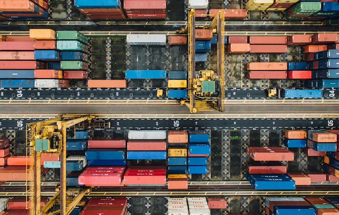 How did UAE’s exports grow during the pandemic?
