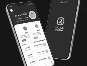Cassbana Raises $1 Million From Distruptech