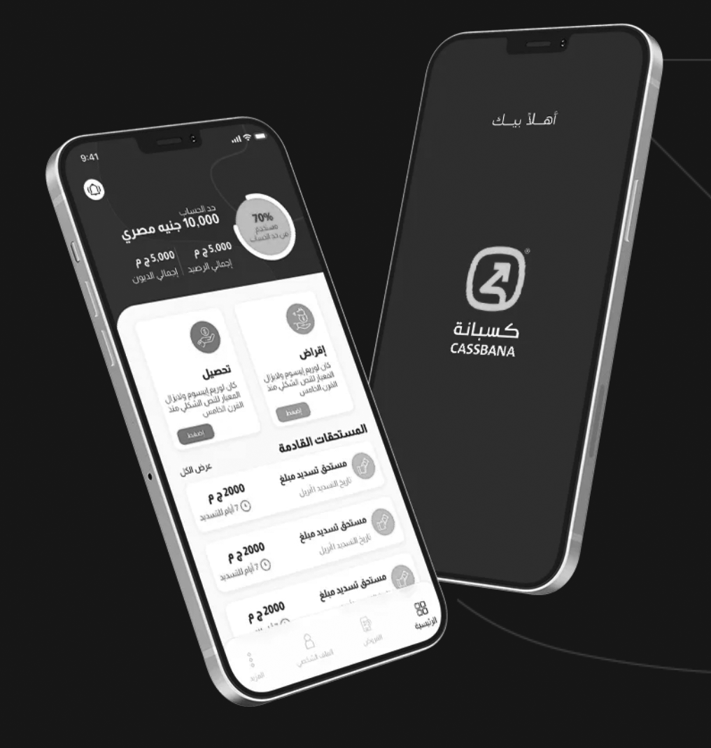 Cassbana Raises $1 Million From Distruptech