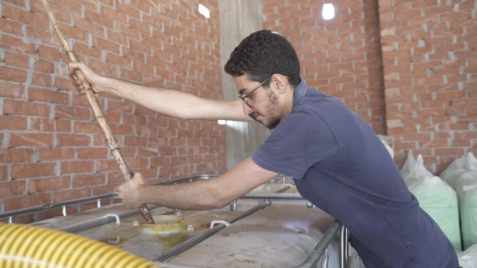 Delta Oil: Up-Cycling Oil Waste into Biodiesel
