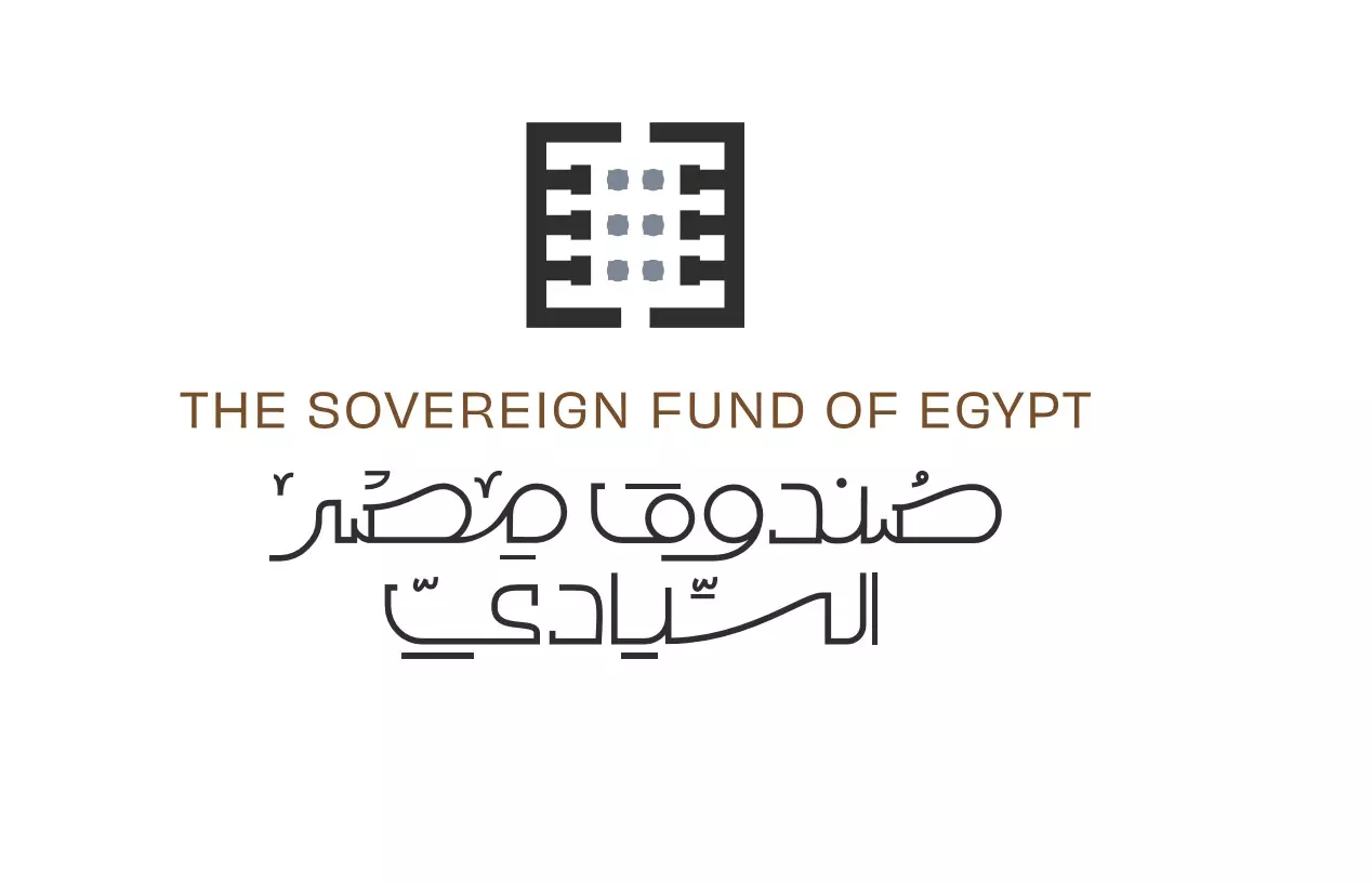 What Has the Egyptian Sovereign Fund Achieved Since Inception?