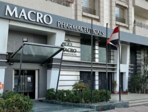Macro Capital’s IPO purchase orders amount to 1.35 billion shares