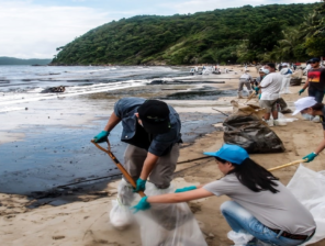 Dubai-Based Startup to Raise $1.2M NFT Fund to Clean Up Ocean Plastics Globally