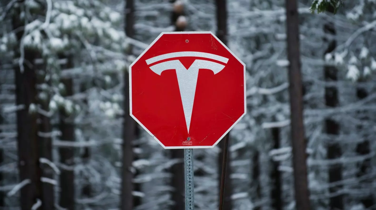 Tesla Sued by Former Employees Over Unethical Mass Layoffs