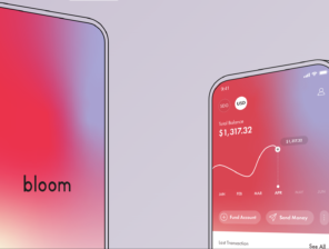 Bloom, Sudan’s FinTech startup, raises $6.5m in a seed round