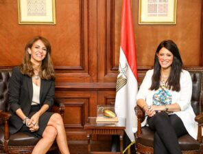 Egypt partners with Google and Meta to explore startups’ role in fighting climate change