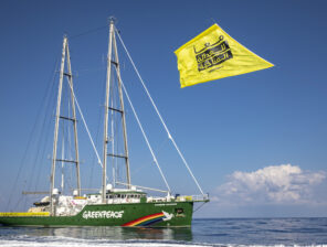 Greenpeace highlights sustainable local brands as part of their regional tour in Hurghada