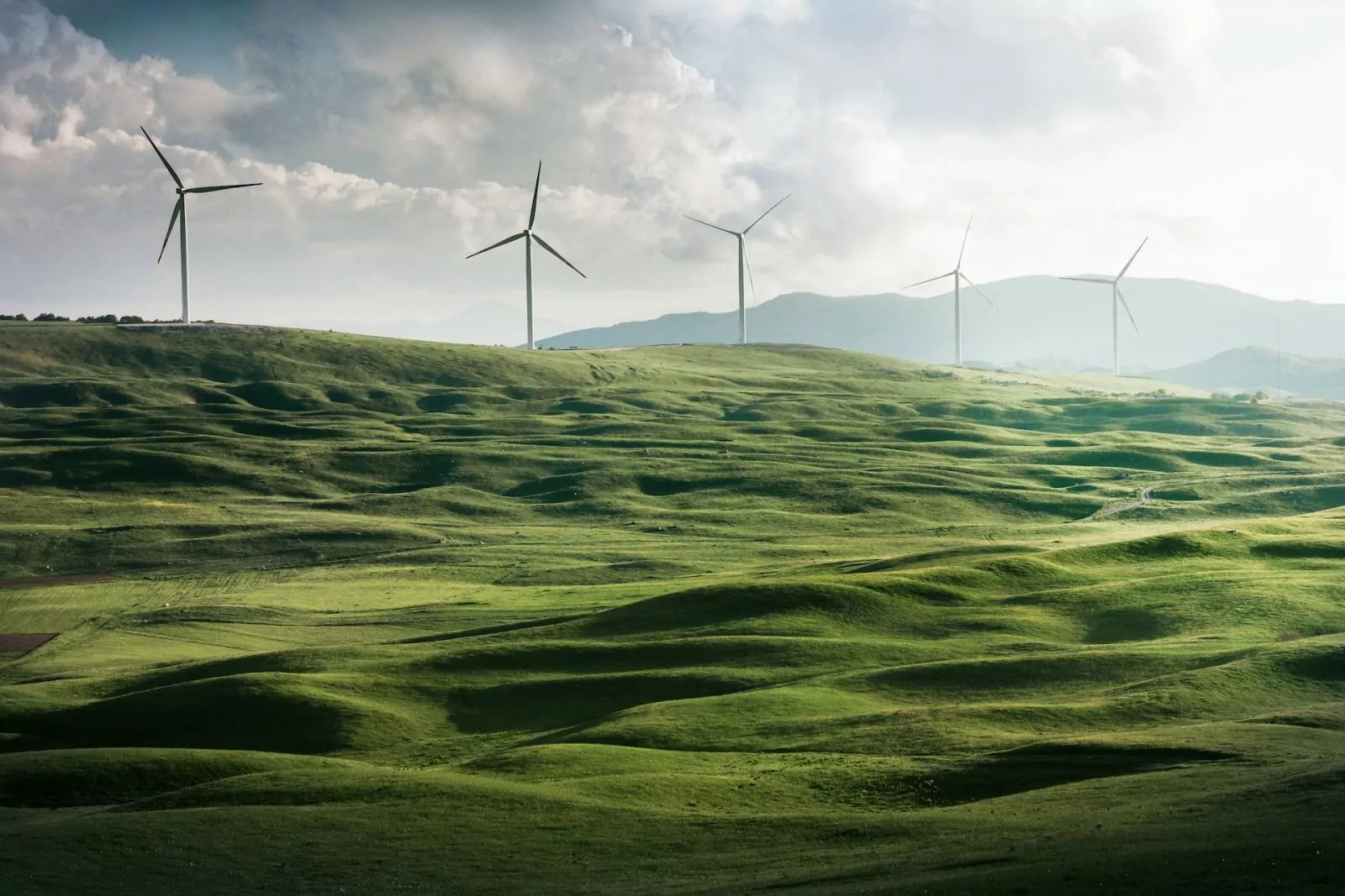 NEOM Green Hydrogen Company signs facility agreements to build its largest green hydrogen plant