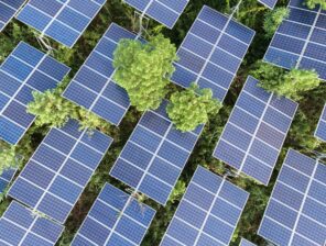 UAE launched 11 clean energy projects worth $43 billion in 2022