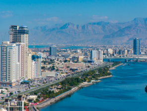 Ras Al Khaimah to create a free zone for digital and virtual asset companies