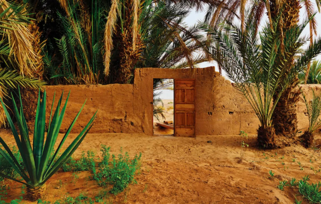 Sand to Green, Morocco’s AgriTech startup, raises $1m in a Seed round