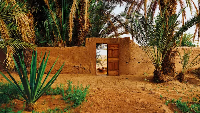 Sand to Green, Morocco’s AgriTech startup, raises $1m in a Seed round