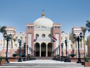 AfricInvest eyes 25% stake in&nbsp;British University in Egypt