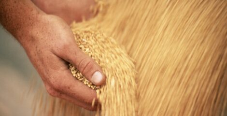 OPEC Fund supports Egypt’s food security with $10m