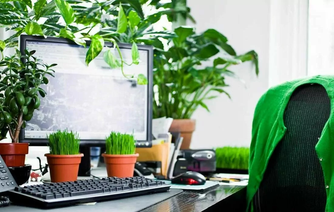 Saudi-based Nabataty Raises Funding From Al Bustan Nurseries for 10% Equity
