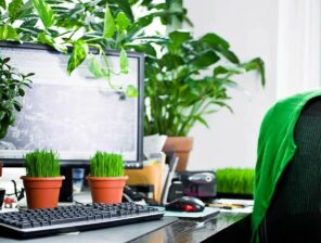 Saudi-based Nabataty Raises Funding From Al Bustan Nurseries for 10% Equity