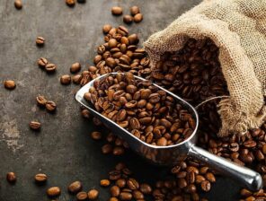 ‘Reef Saudi’ Invests USD16.2 Million to Elevate Saudi Arabia’s Coffee Production