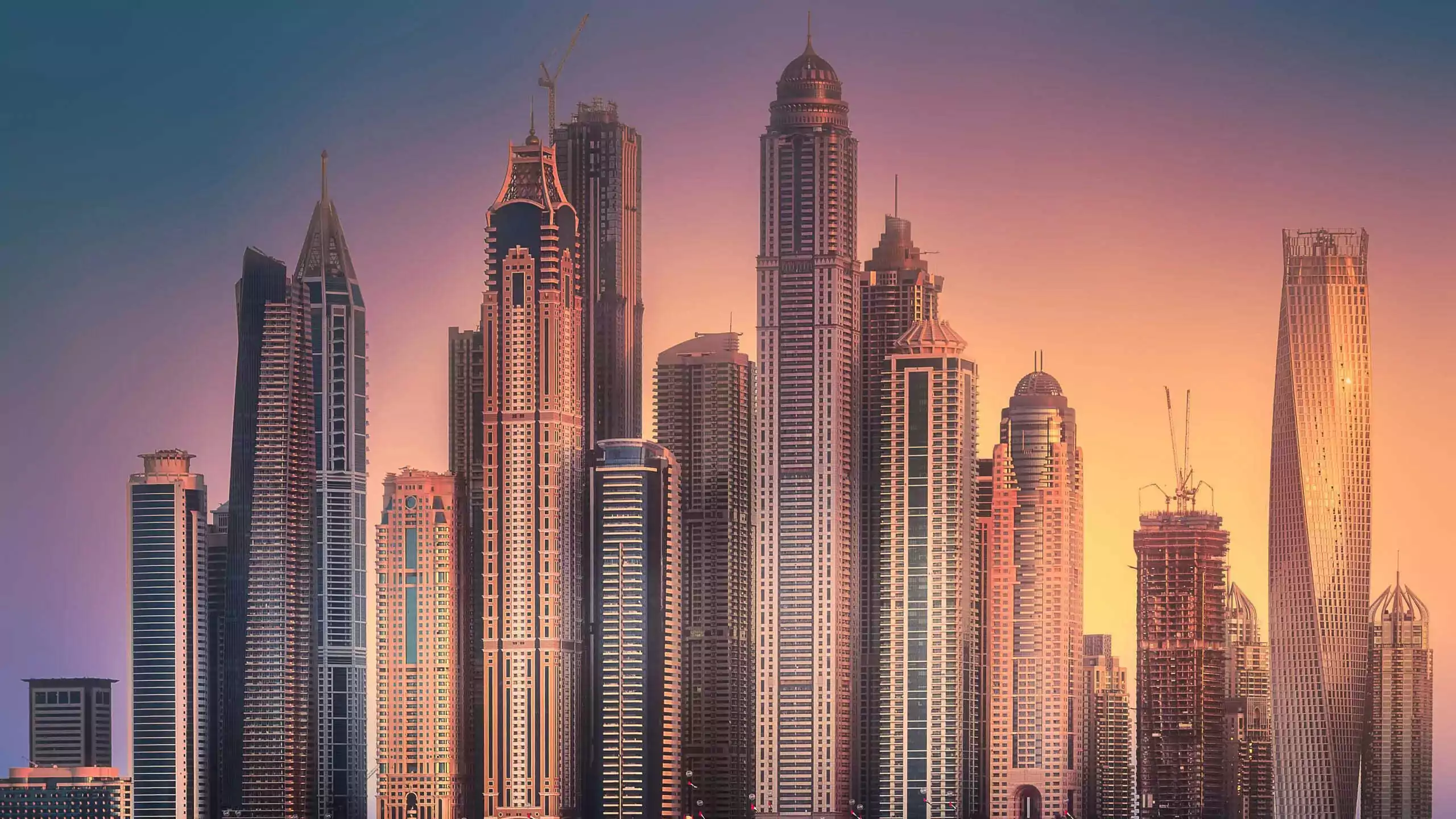 Egypt, Saudi Arabia, UAE Post Venture Capital Growth in Q3