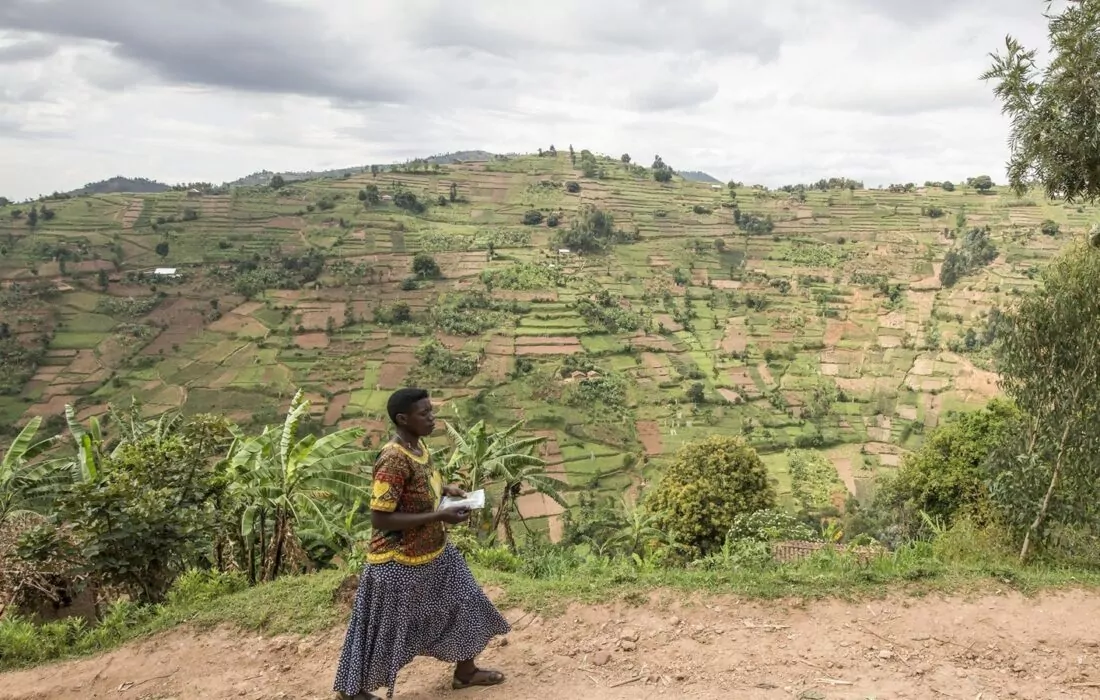 FAO’s Digital Villages: Tech Meets Farming to Uplift Rwandan Communities