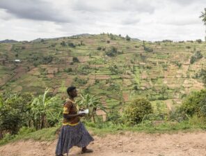 FAO’s Digital Villages: Tech Meets Farming to Uplift Rwandan Communities